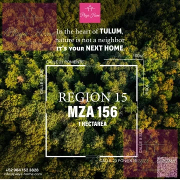 2 Lots of 5000 m2 each 1, Region 15,   Mz 156  Lote 001