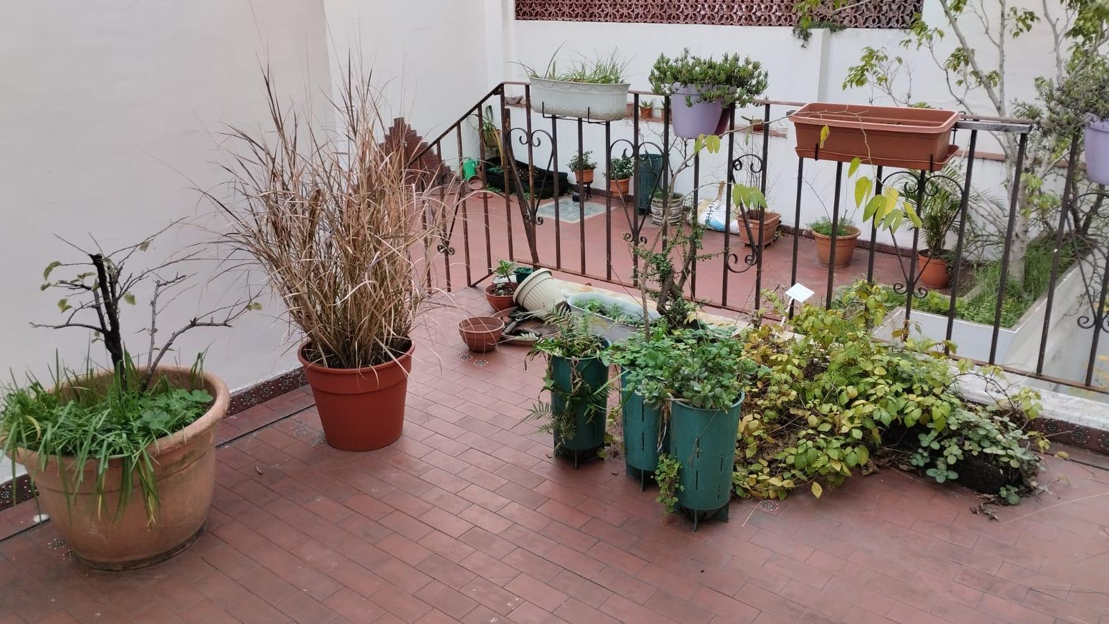 image 50