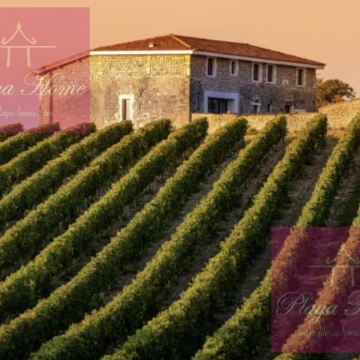Wine estate in France (13) Off market