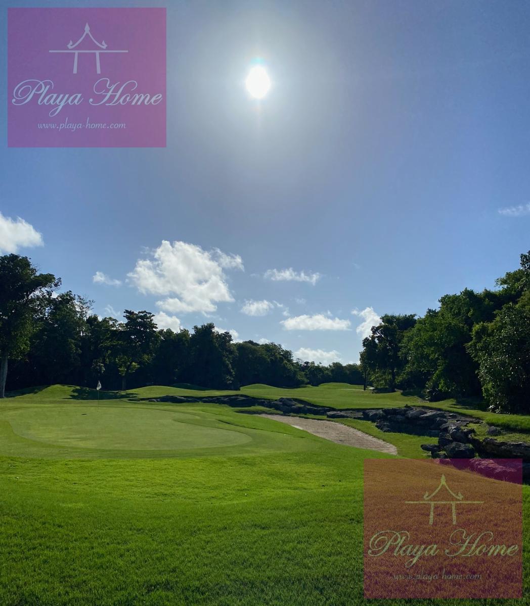 image 68