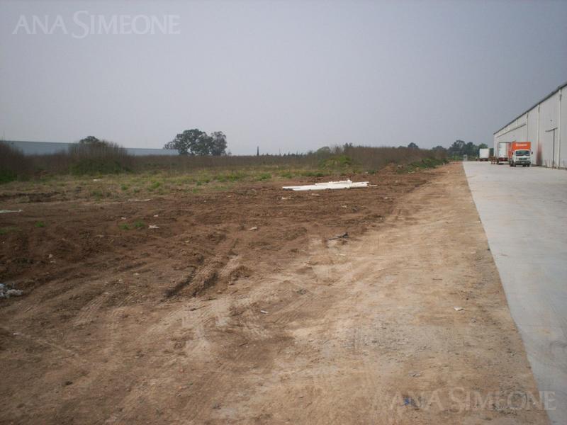 Terreno libre