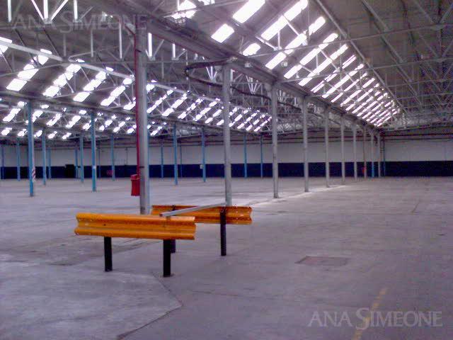 Ocampo 1170 005