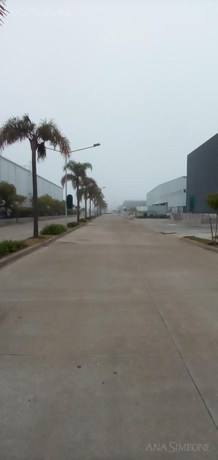 image 15