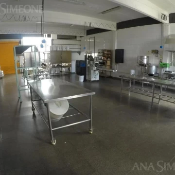 Nave Industrial - Venta - San Martin Villa Lynch