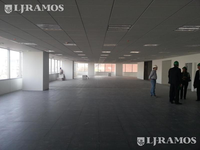 08-PLANTA