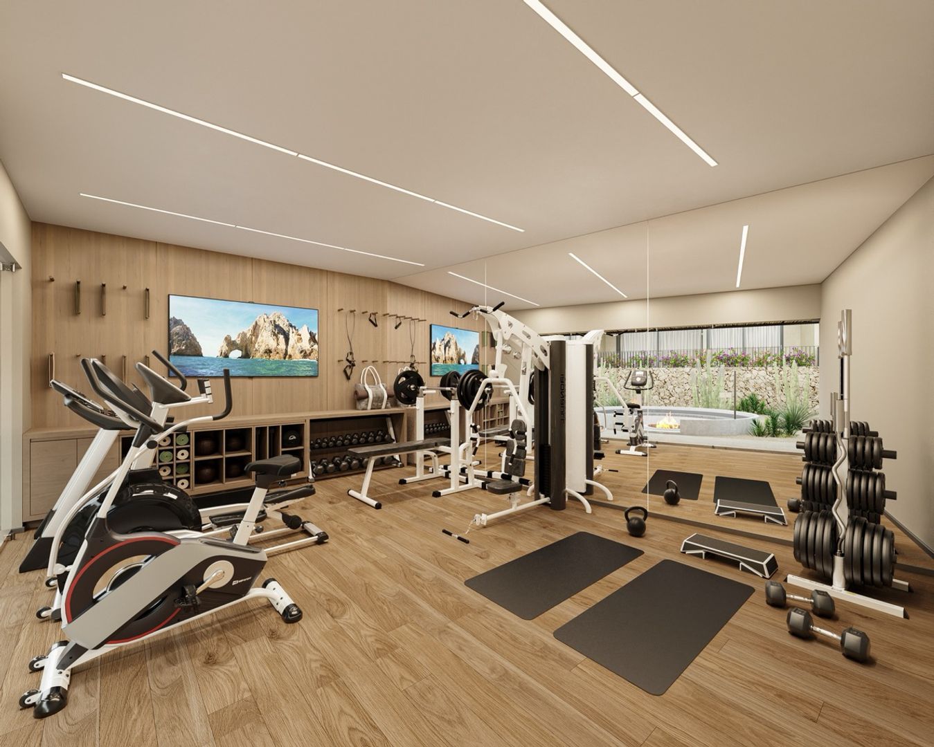 GYM Large.jpeg