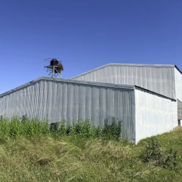 Criadero de Pollo - Nave Industrial 378 m2 - Ibarlucea