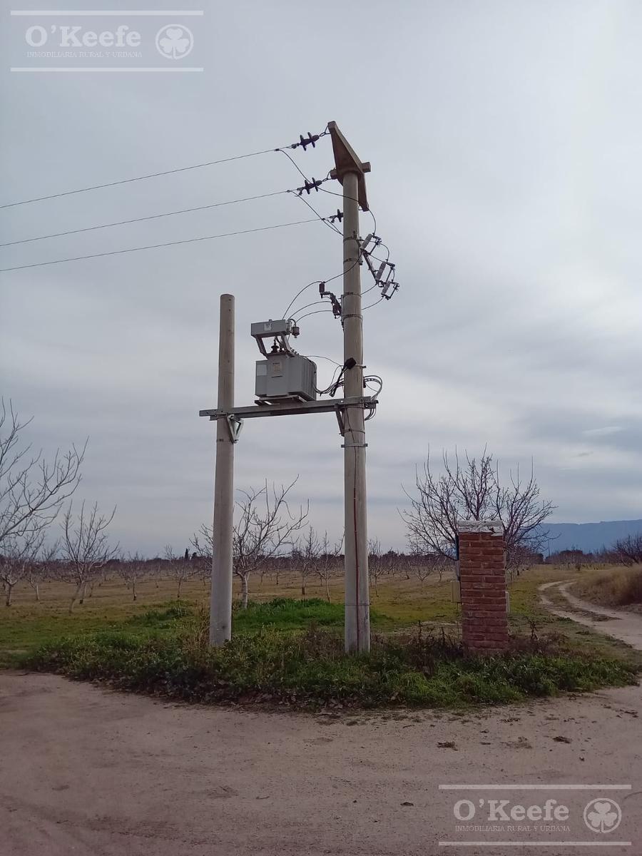 image 35