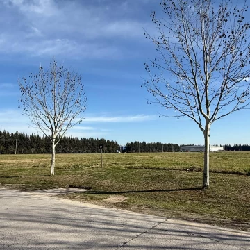 Excelente terreno industrial Polo Ezeiza 11.000 mts