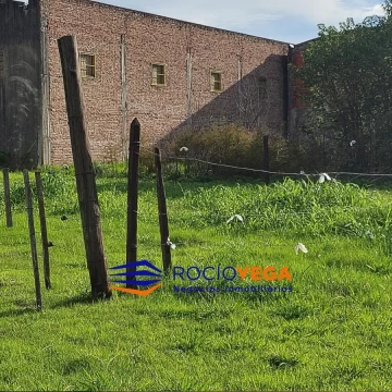 1777584255.jpg