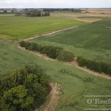 Campo en venta de 300 has en Lobos 