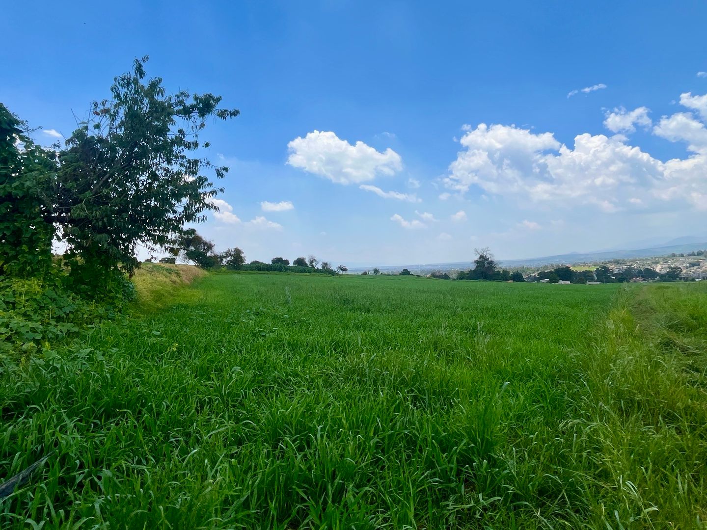 DJI_20250804_131448_556 2.JPG