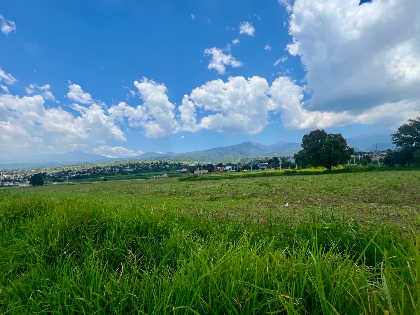 DJI_20250804_131237_838 2.JPG