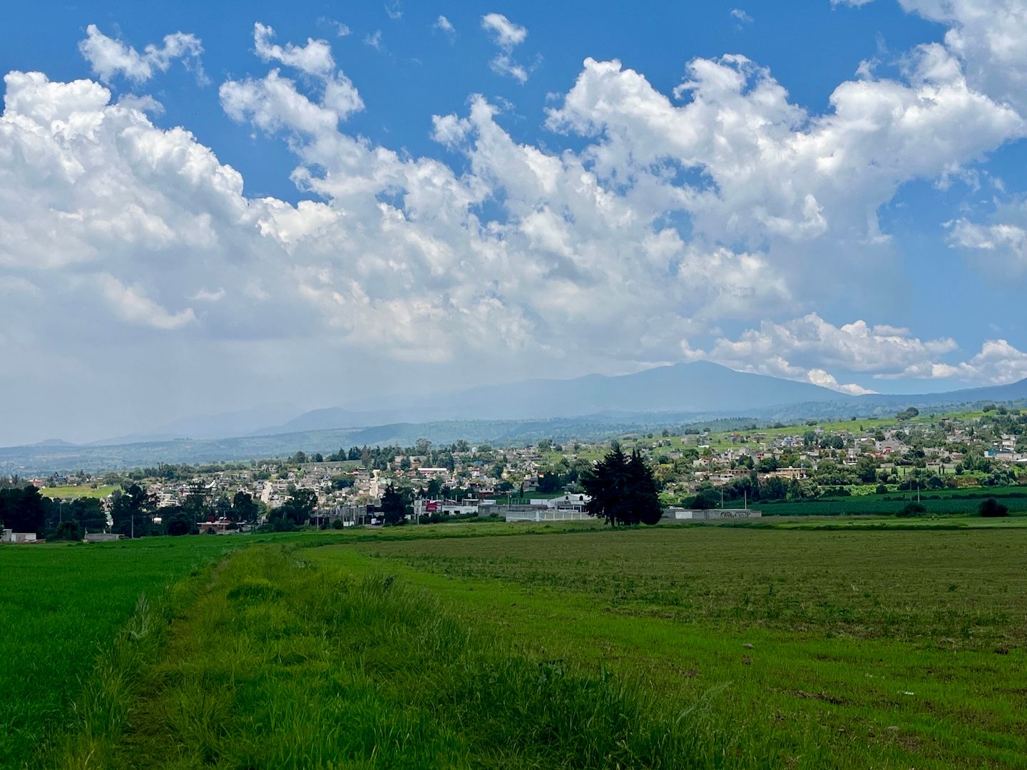 DJI_20250804_131531_044 2.JPG