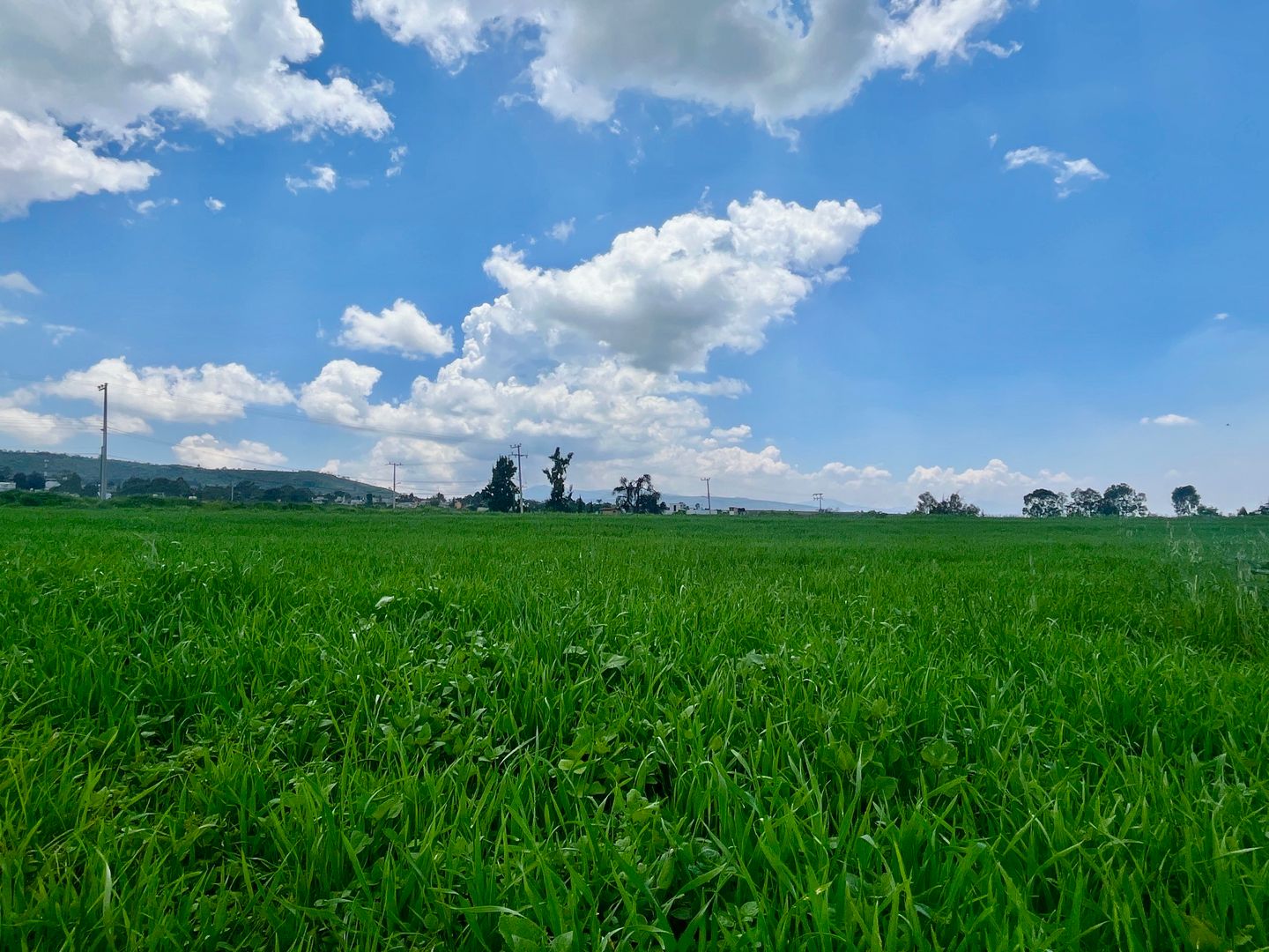 DJI_20250804_131350_490 2.JPG