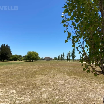 Terreno - Real de San Carlos