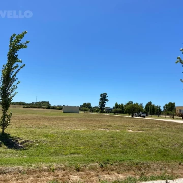 Terreno - Real de San Carlos