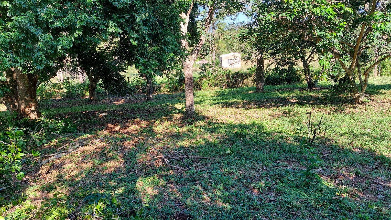 image 13