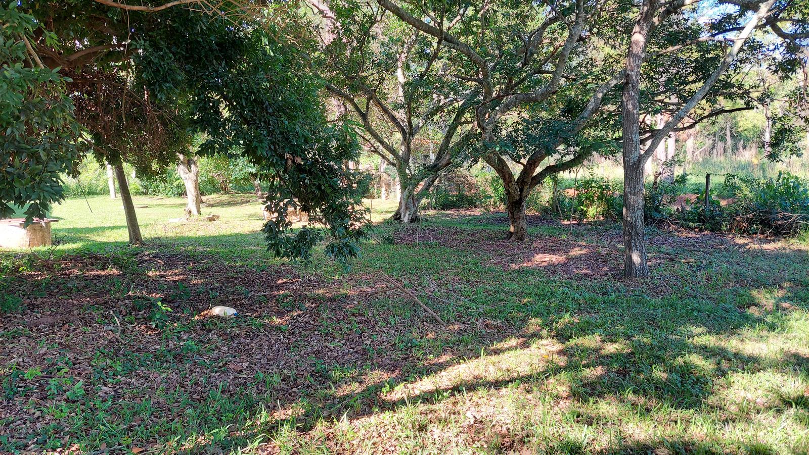 image 14