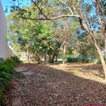Land in the College and University District