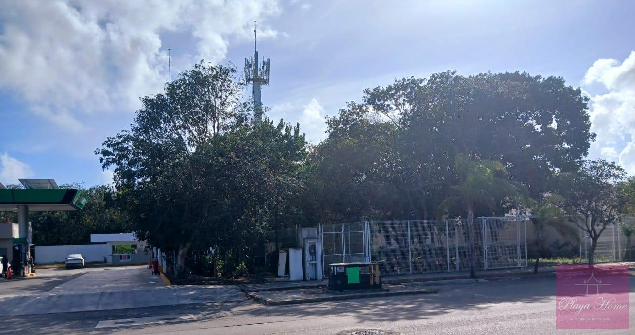 image 13