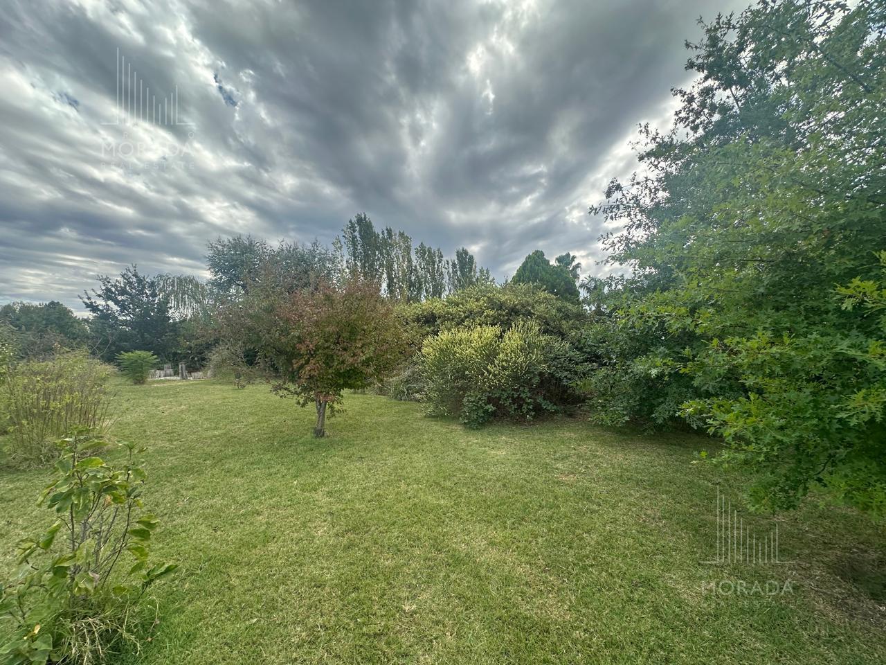 image 50