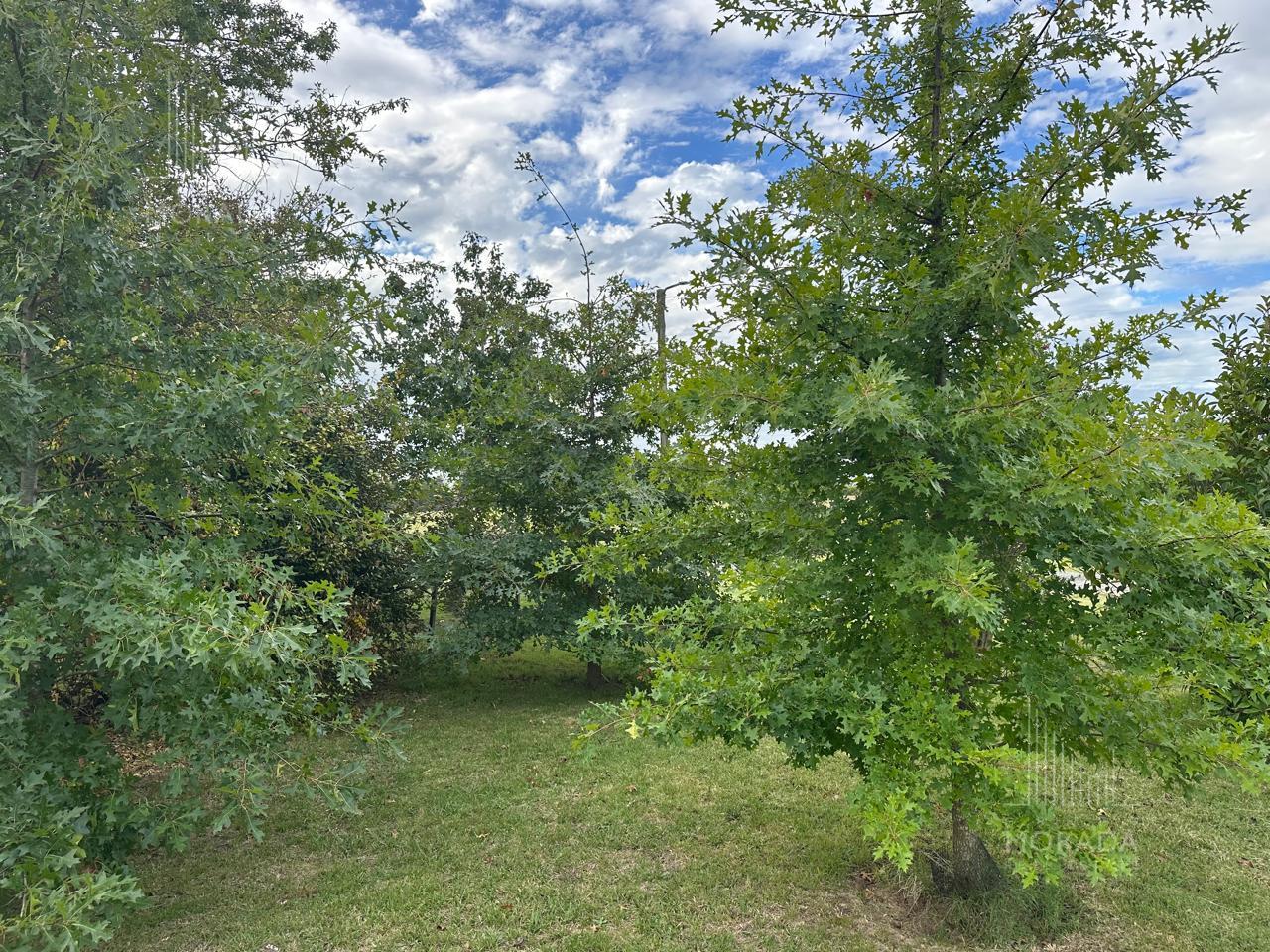 image 55
