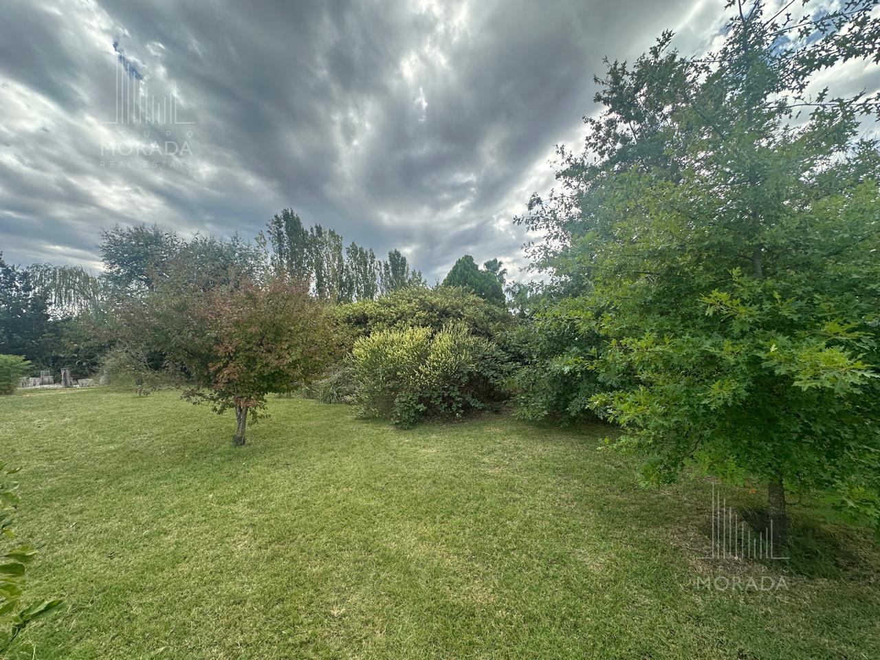 image 56