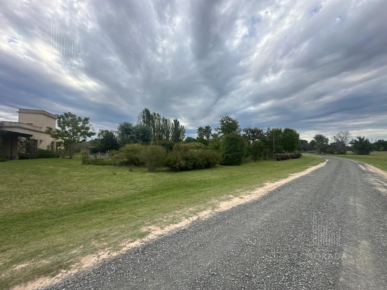 image 61