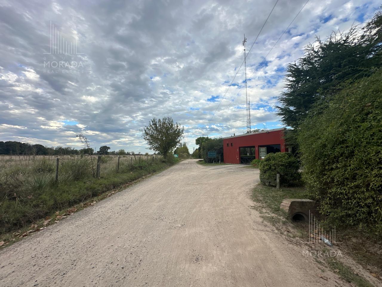 image 65