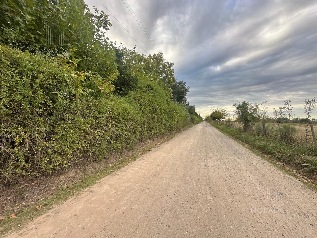 image 66