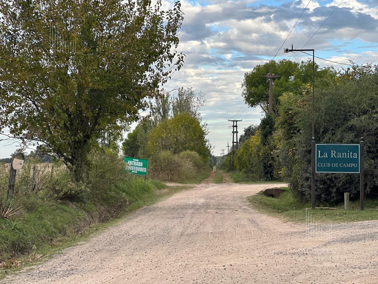 image 68