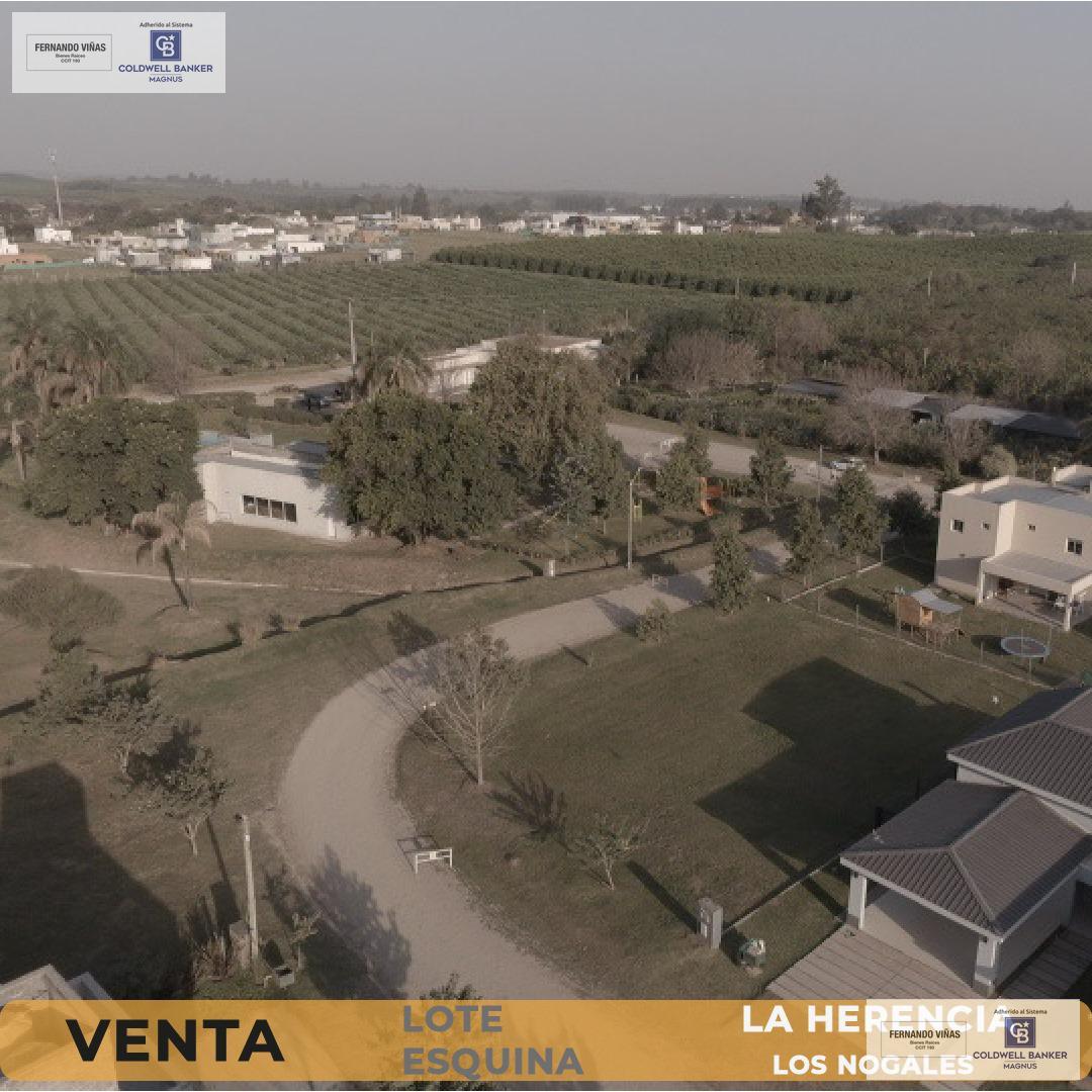 Lote Central