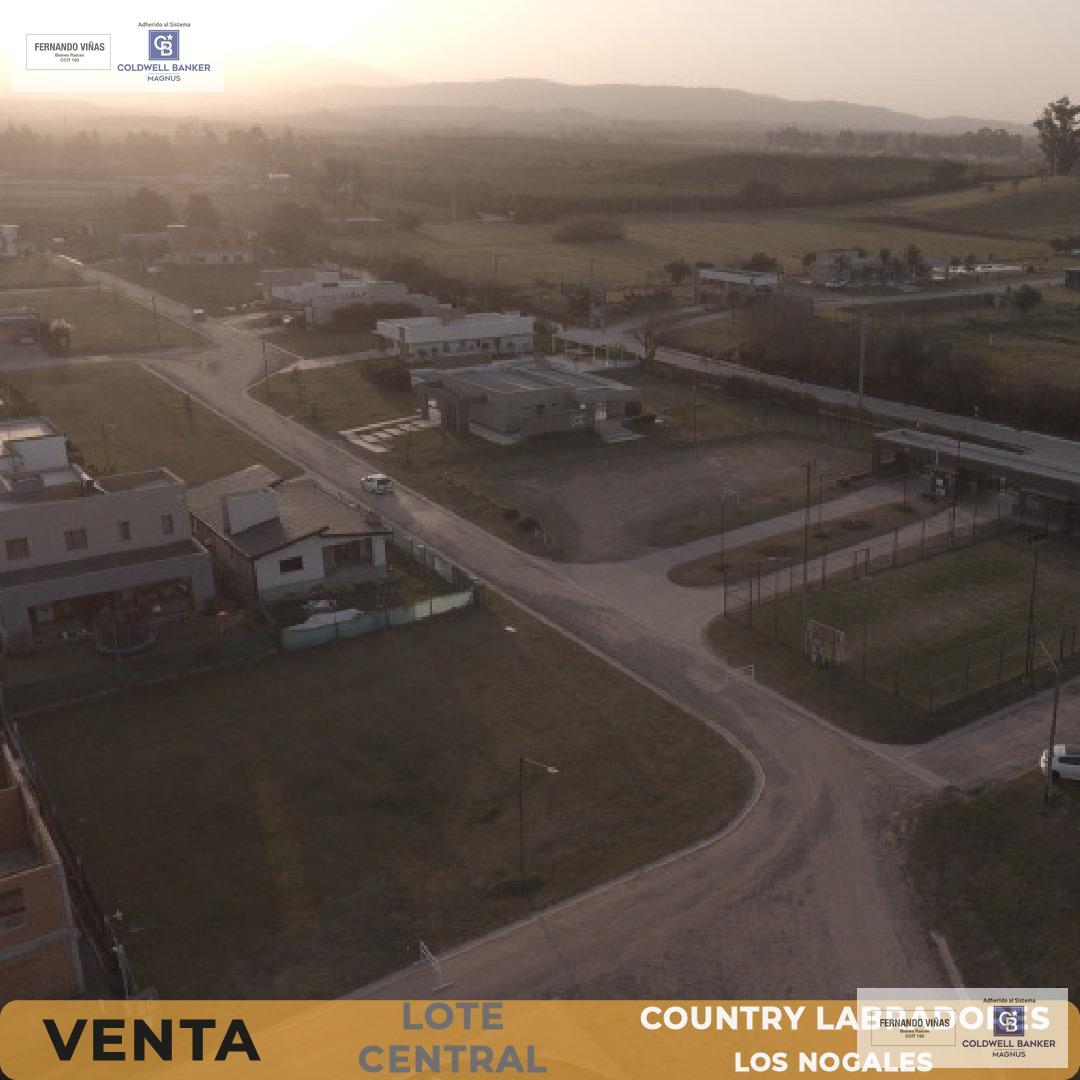 Lote Central