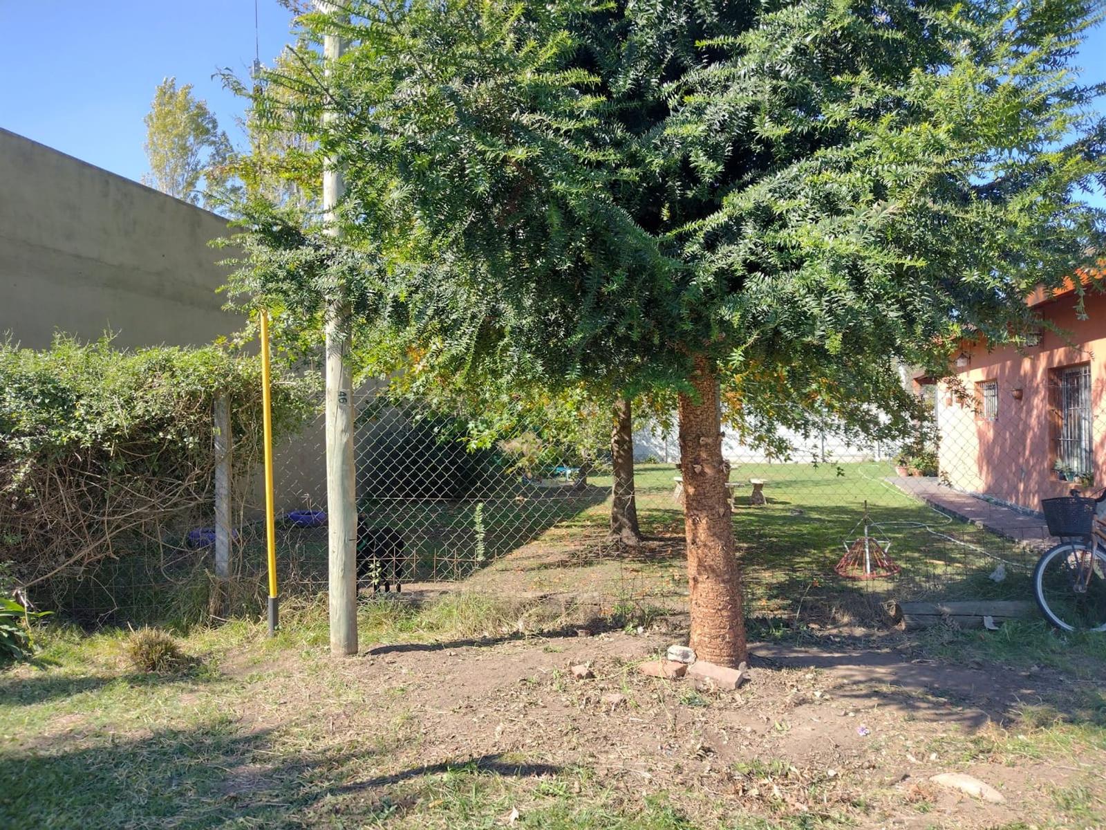 Lote de 300 m² en Francisco Alvarez, foto 2