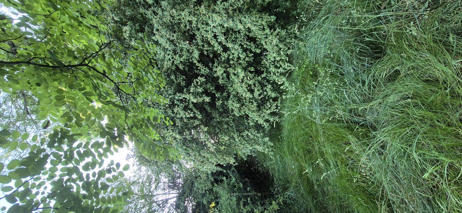 image 16