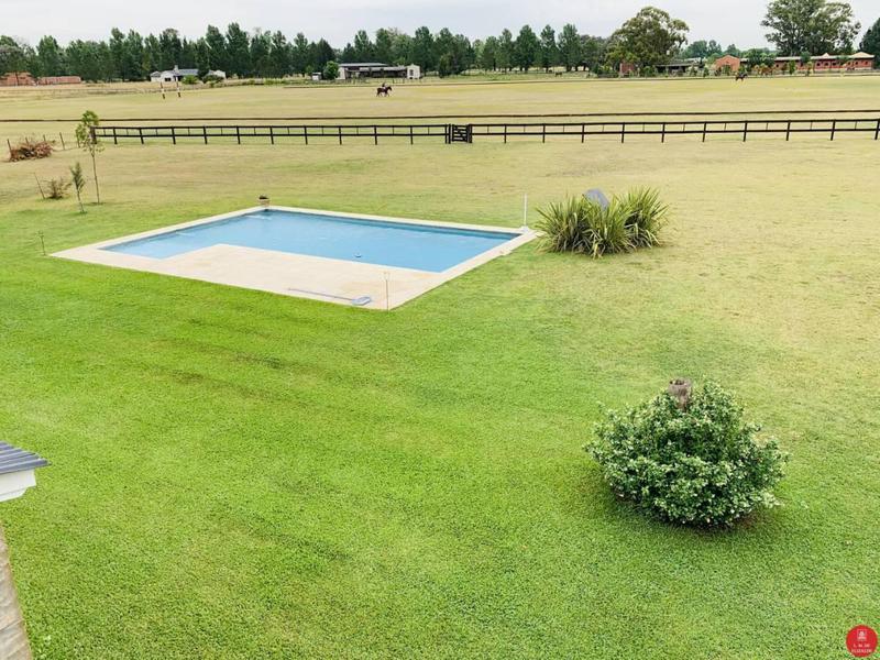 image 37