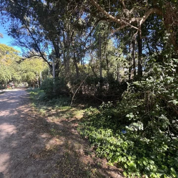 Terreno en El Ensueño