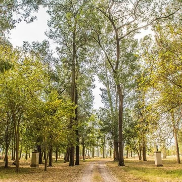Terreno en Lagunas del Golf