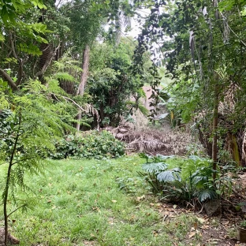 Venta  Terreno en  Banfield 