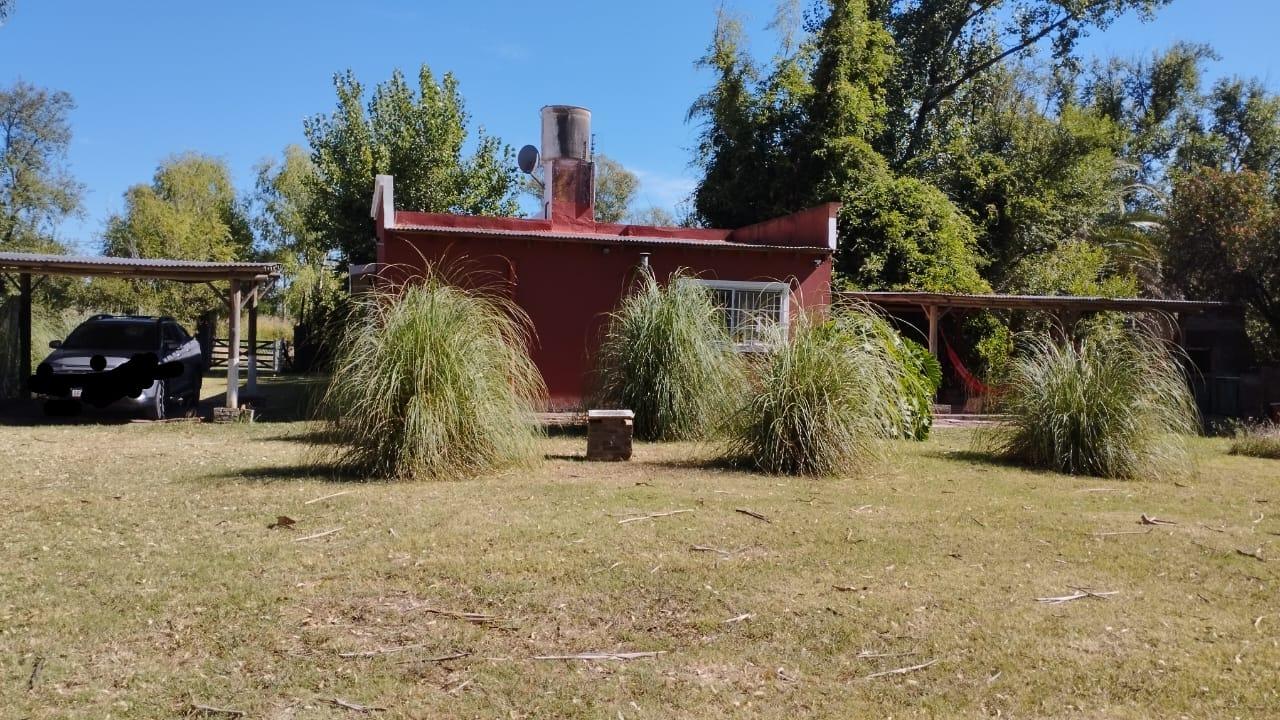image 41