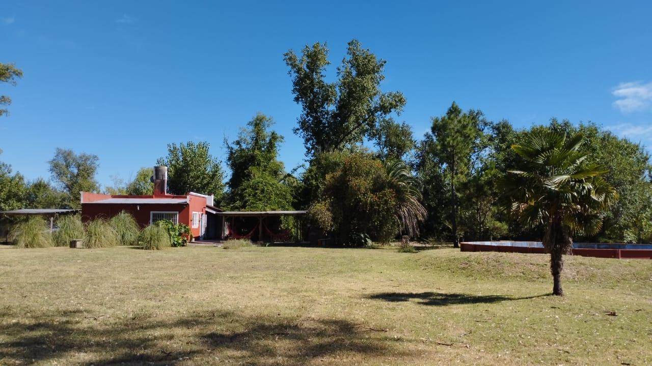 image 42