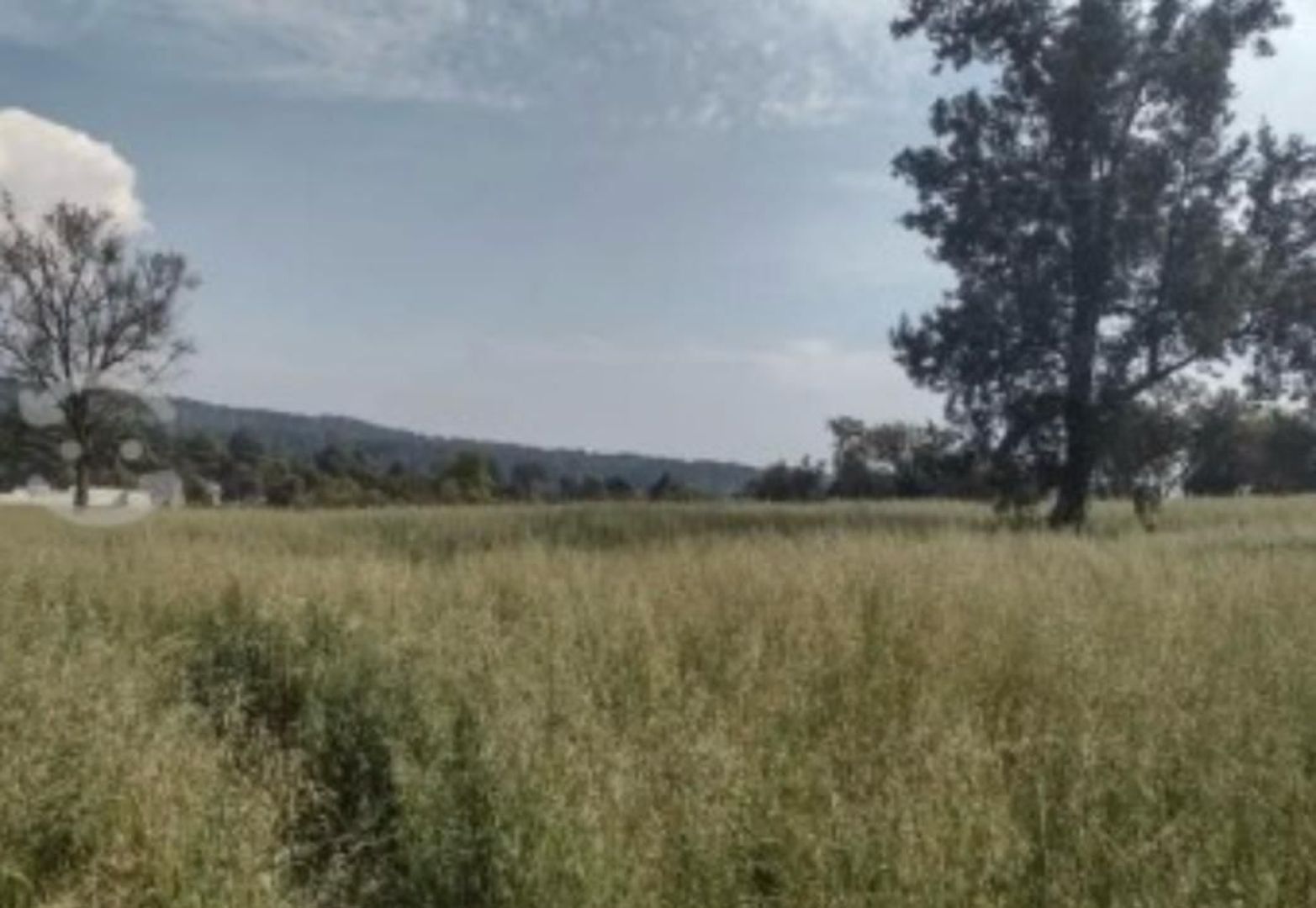 EB-SC5592 (7).jpeg