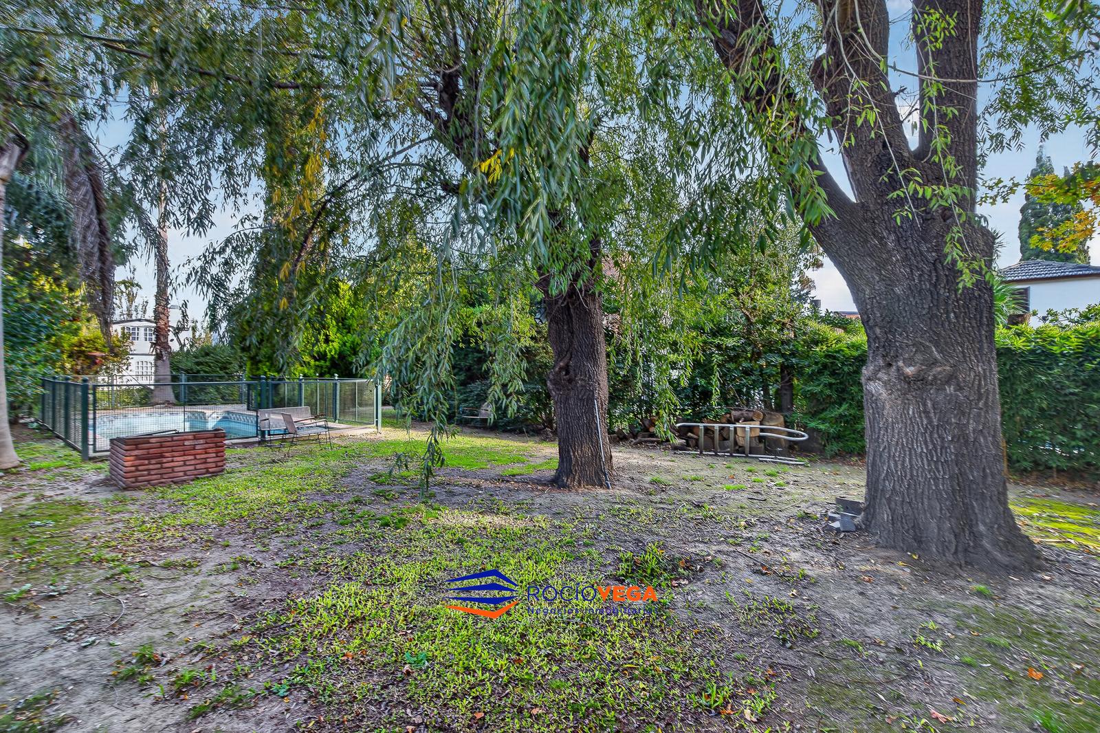 image 29