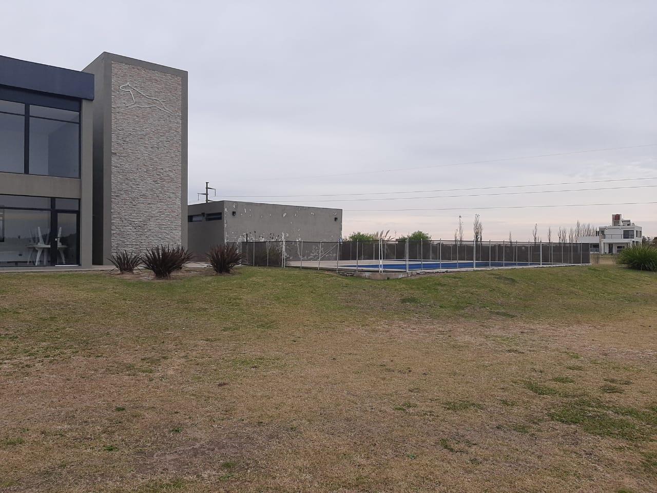 image 21