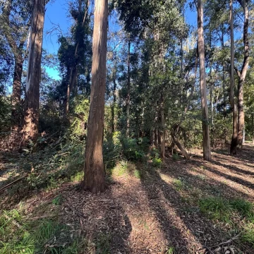 Terreno en Venta en Santa Ana – 600 m²