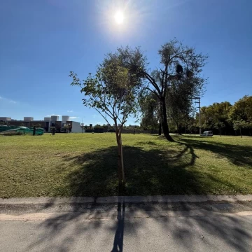 Terreno en venta La luisita zona sur
