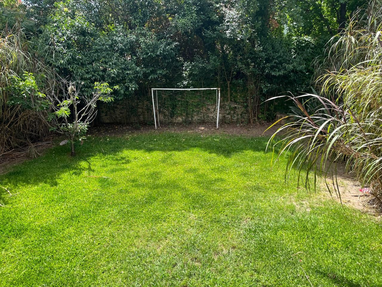 image 28