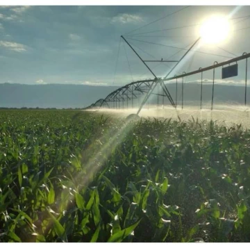 Campo en el departamento de San Javier - Prov. Córdoba.