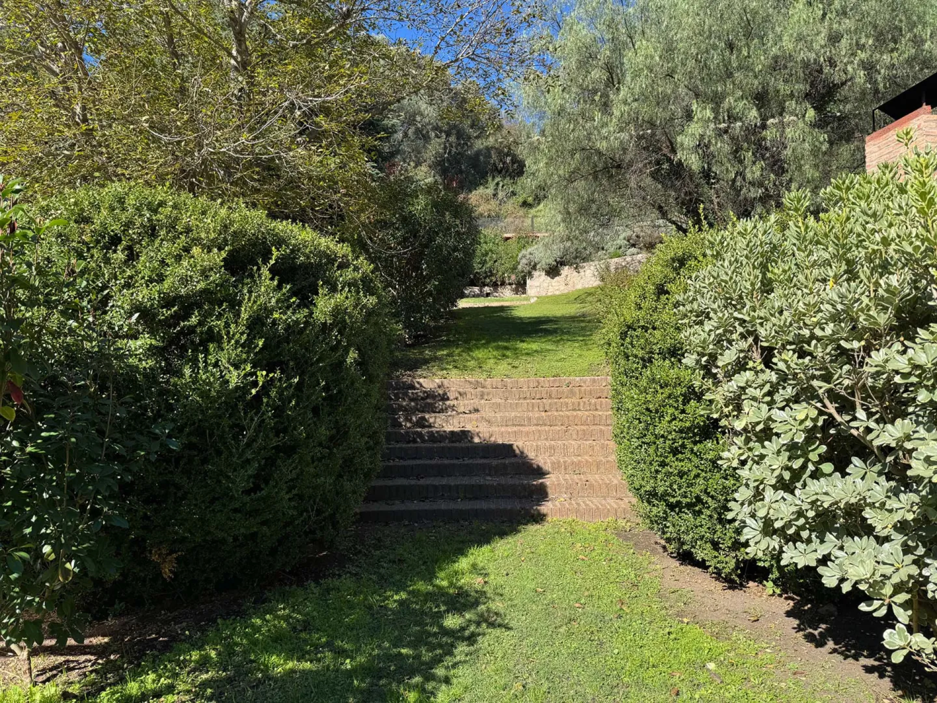 image 36